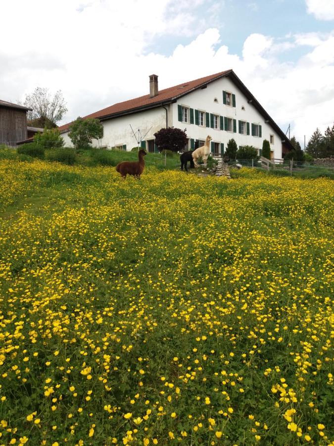 Ferme O'Cles Apartment Le Peuchapatte Exterior photo